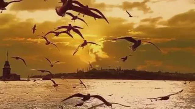 غروب آفتاب استانبول