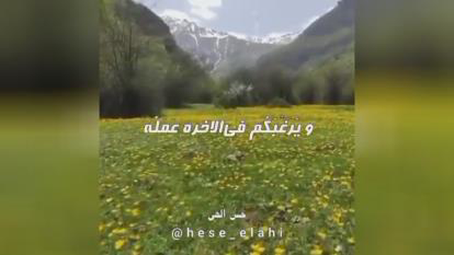 بهترین همنشین