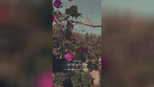 سوره نساء آیه 19 متاهل ها و مجرد ها این ویدیو رو ببینند!