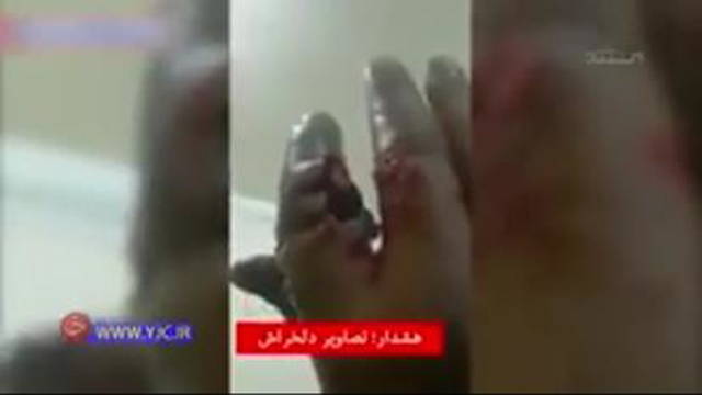 شهیدی شجاع و شوخ طبع :))