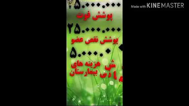 بیمه حوادث