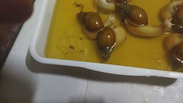 حمام کردن حلزون