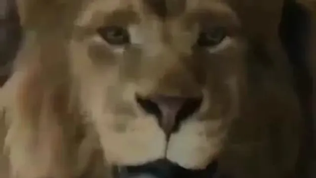خودت رو باور کن