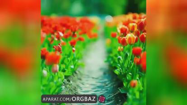 آهنگ شاد لری بارون بارونه