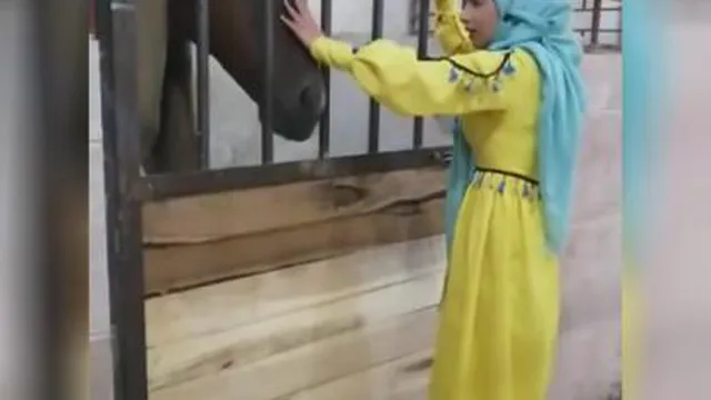 دوستی با حیوانات