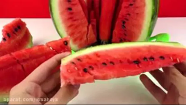 آرین فانی خوراگی