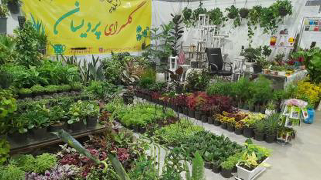 حضور در نمایشگاه گل و گیاهان آپارتمانی