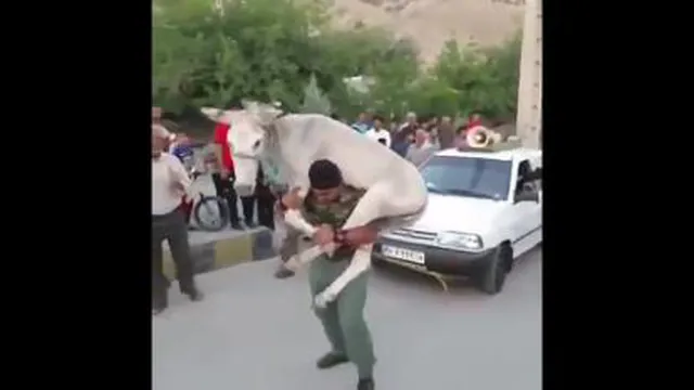 پهلوان گم نام