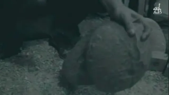موسس خانه تار