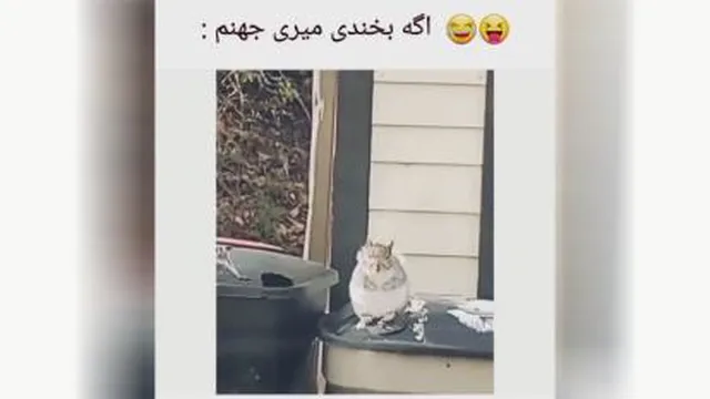 نخند😂