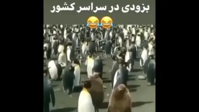 وقتی جواب کنکور میاد😂🤣