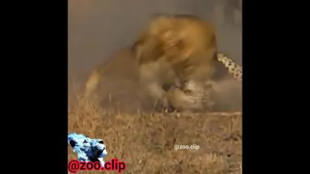 مبارزه در طبیعت