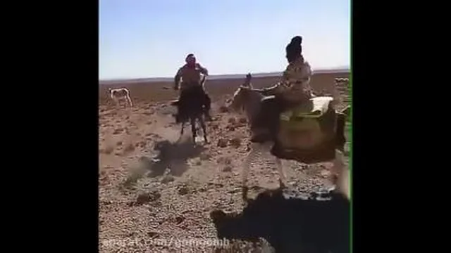 مبارزه تسو با جومونگ