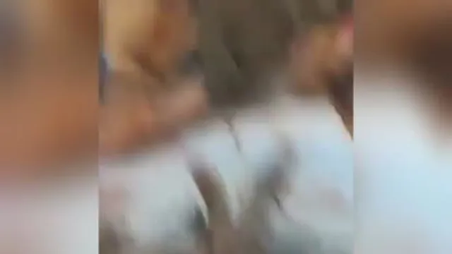 شهربازی فقط این😂😂