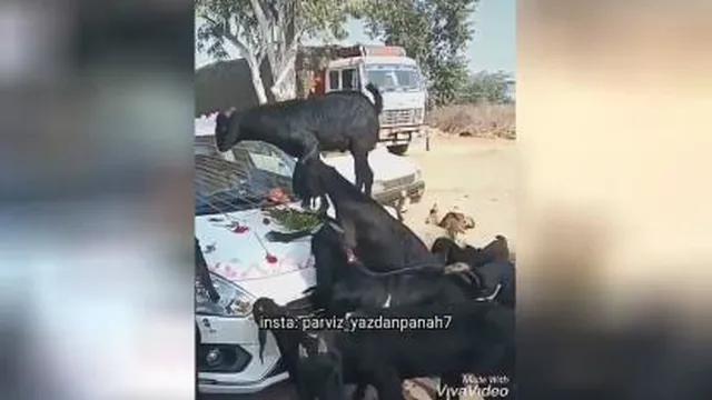 طنزوسرگرمی