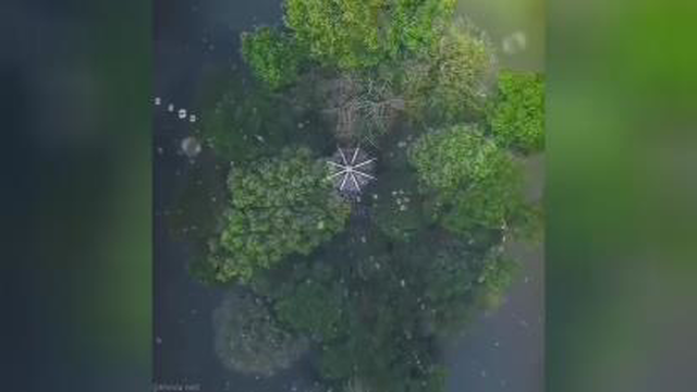 خدای آسمان ها