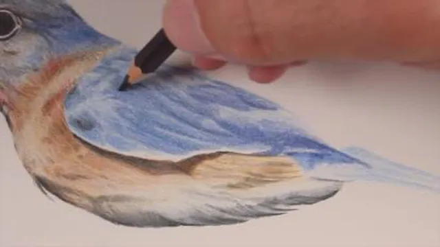 نقاشی پرنده با مداد رنگی