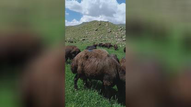 طبیعت زیبای سهند