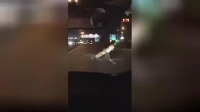 اعتمادبه نصب
