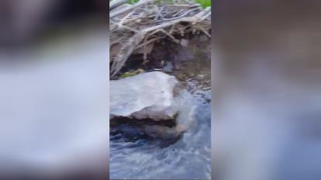 آبشار زیبا