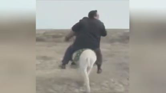 خبرنگار حرفه ای