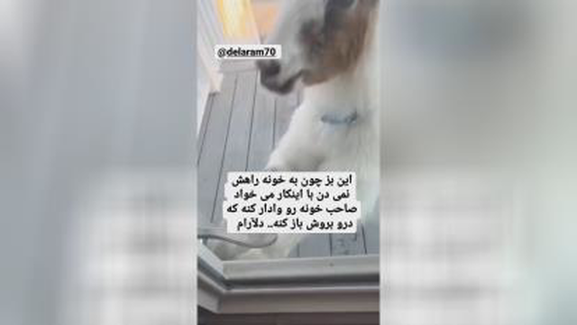 بزو خونه راه نمیدن