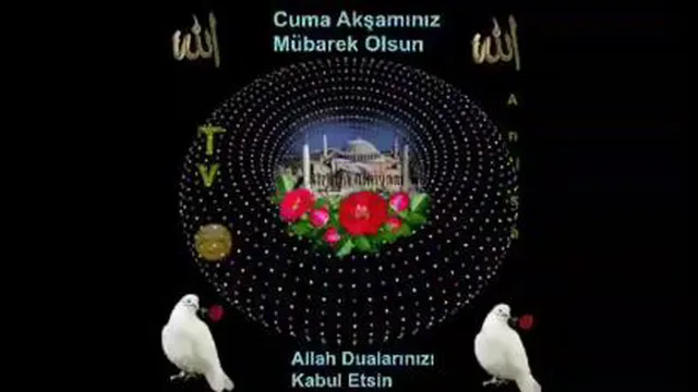 هفته وحدت