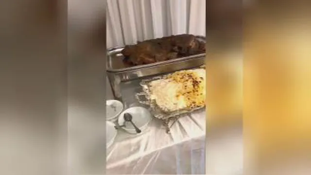 پاتلاگ تفریحی آموزشی رامسر