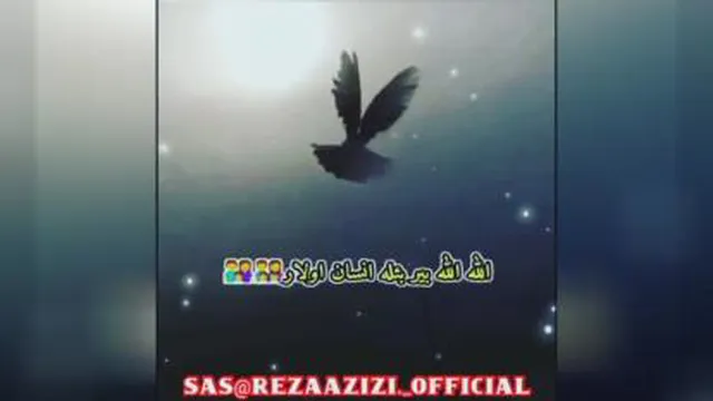 درد ودل