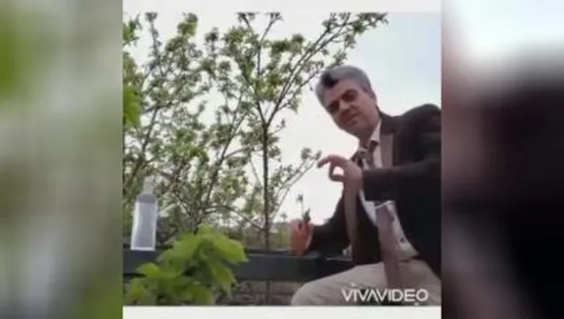 خبر خیلی مهم و تاثیر گذار در سلامتی