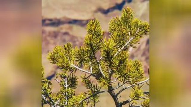 قانون انتظار