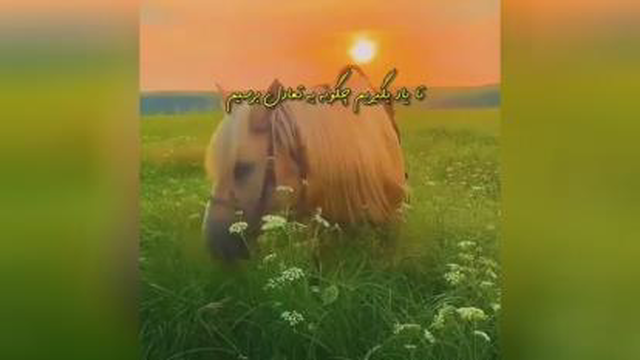 آهنگ جدید