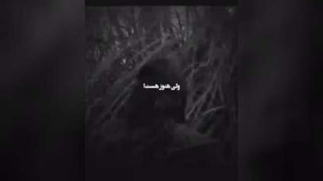 مسافر