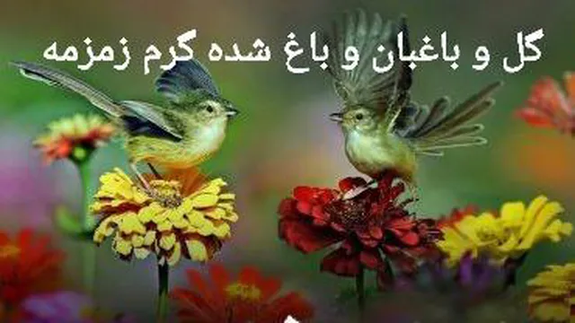مداحی گل و باغبان و باغ شده گرم زمزمه