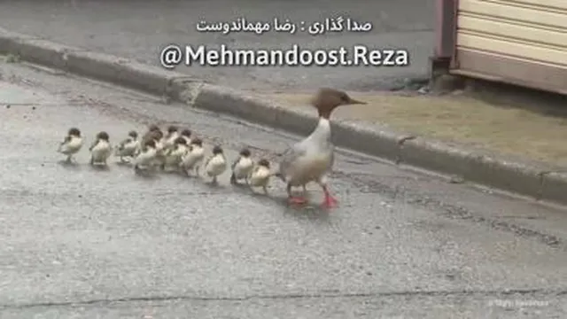 طنز دوبله مشهدی متولدین خرداد