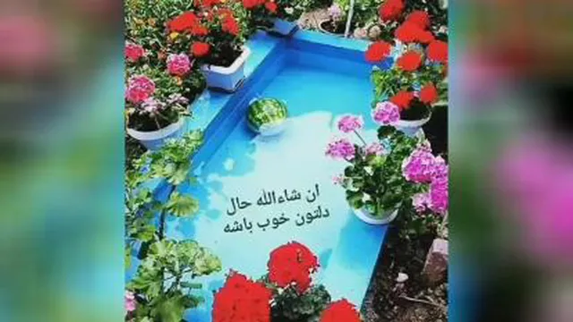 صبح بخیر