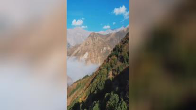 اینوتی