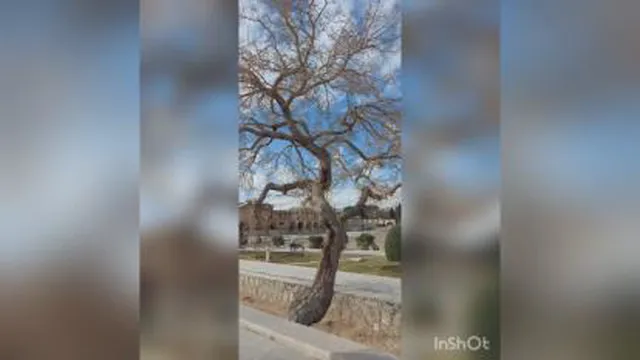 روز چهاردهم دوره سپاسگزاری. شگفتی و معجزه در سلامتی❤