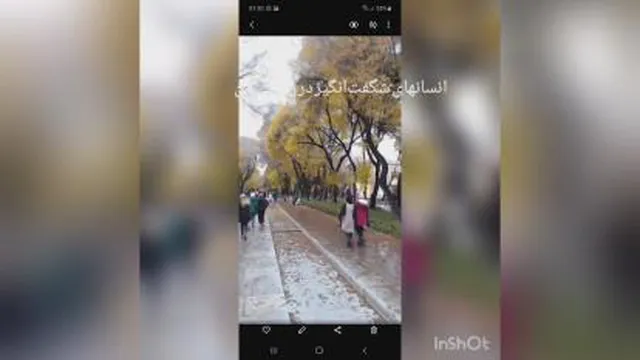 روز دهم دوره سپاسگزاری.انسانهای شگفت  ‌انگیز که در زندگی من تفاوت سازنده به وجود آ
