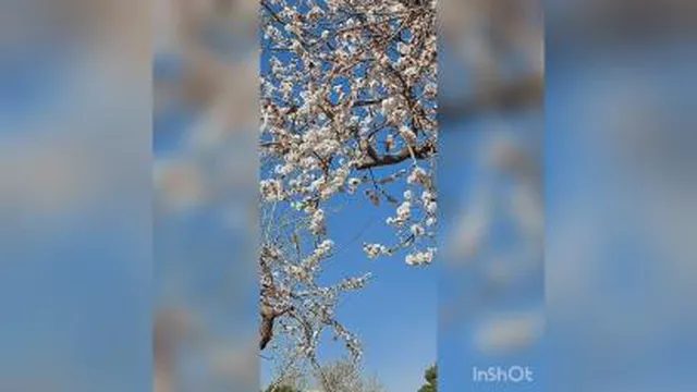 دوره سپاسگزاری مقدمه و کلیات