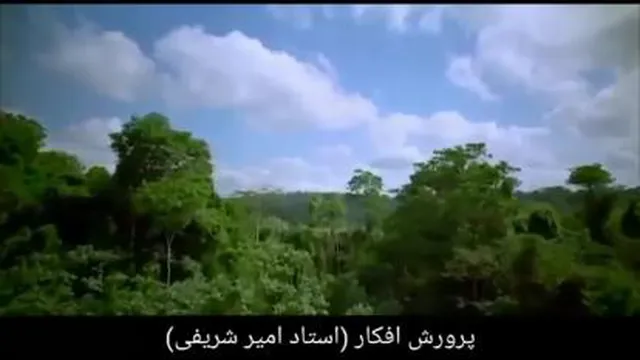 توکّل قانون جذب امیر شریفی