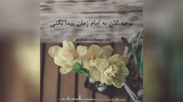 #امام زمان (عج)