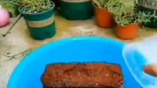 خاک مقوی