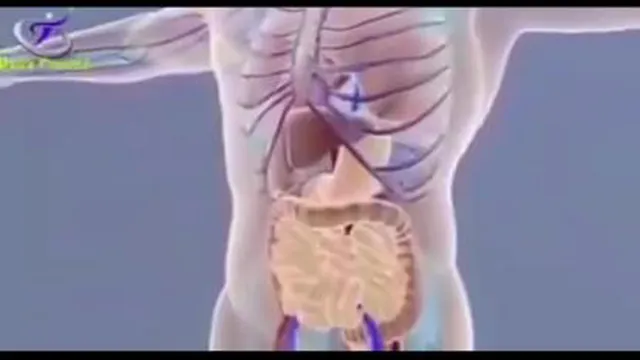 خواص چغندر