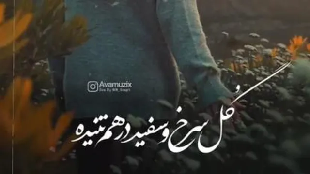 ترانه گل سرخ و سفید