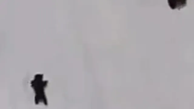 پولسازی