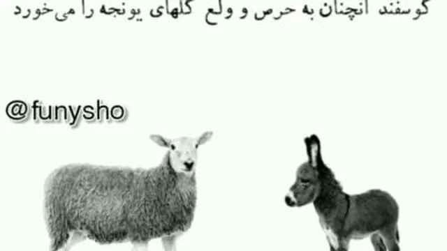 انگیزشی