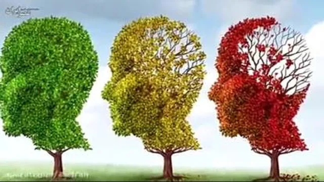 جلوگیری از الزایمر