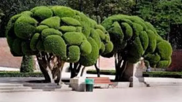 پارک ویژن تارک