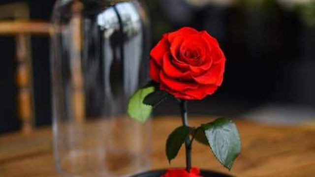 نشان عشق